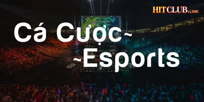 Cá cược Esport là gì? Những lưu ý cần quan tâm khi cá cược Esport